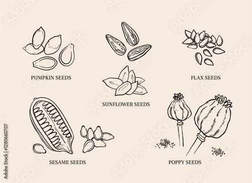 Superfood seeds line art set