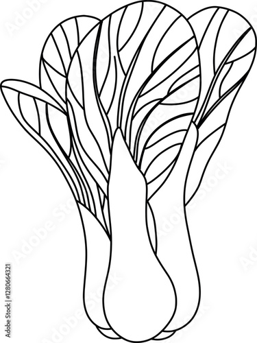 Bok choy plant with leaves. Isolated on a white background.