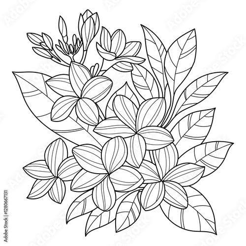 Pink Plumeria Flowers Coloring book For Adults 