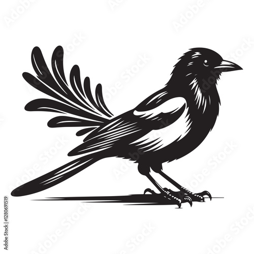 Magpie bird Silhouette Vector Illustration, Solid White Background.