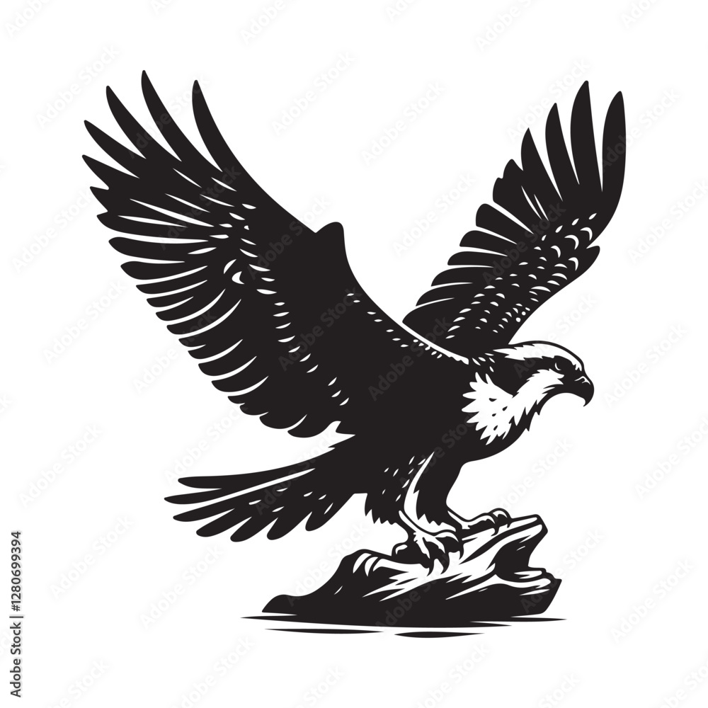 Obraz premium Osprey bird Silhouette Vector Illustration, Solid White Background.