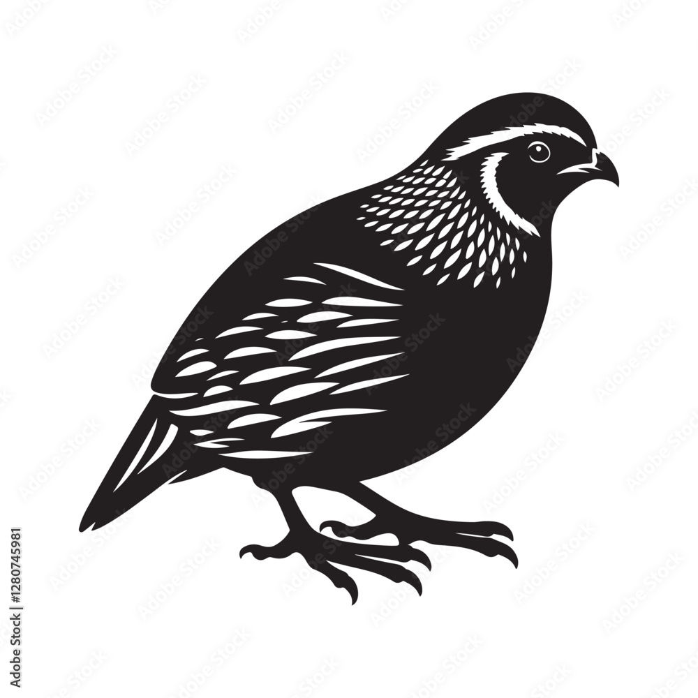Fototapeta premium Quail bird Silhouette Vector Illustration, Solid White Background.