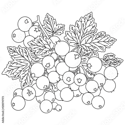 Art & Illustration
Coloring image of a bunch of grapes with leaves. The grapes are small and clustered. The leaves are spread over the grapes. The image has a peaceful and calming at