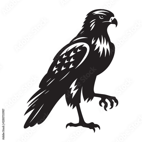 Red-tailed Hawk bird Silhouette Vector Illustration, Solid White Background.