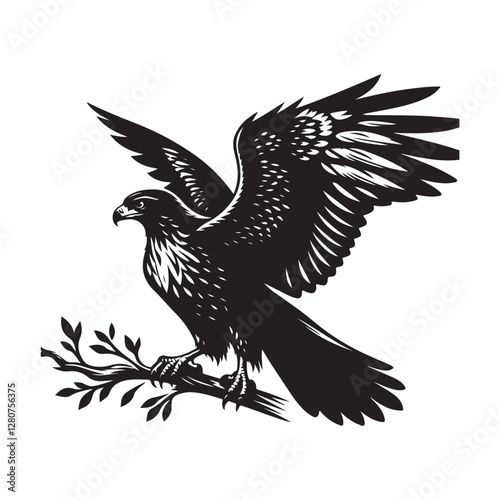 Red-tailed Hawk bird Silhouette Vector Illustration, Solid White Background.