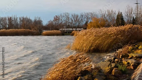 Lake Balaton of Hungary in a windy day, beach Balatongyorok photo