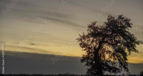 Watch the magical transition from sunset to a starry night in this stunning timelapse video.