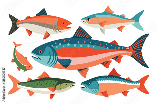 Salmon, atlantic pacific varieties illustration (2)