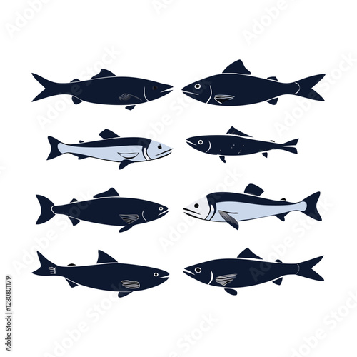  Salmon atlantics pacific varieties illustration vector set 