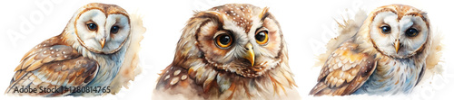 Realistic owl portraits, watercolor style, detailed feathers, vibrant eyes, nature illustration, wildlife art, animal lovers, decorative prints.