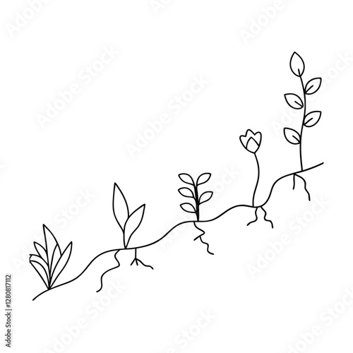 Plant Growth Stages Seedling, Sprout, Blossom, and Mature Plant