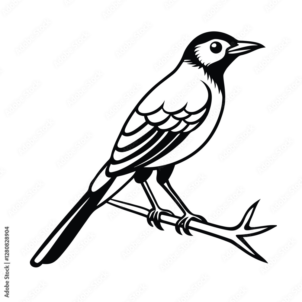 Obraz premium Elegant Black and White Bird Illustration on Branch