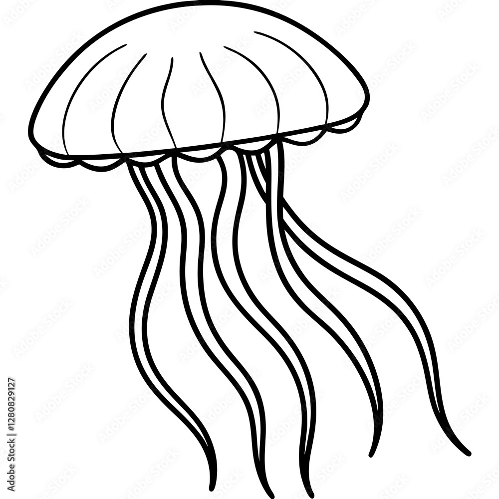 Jellyfish Line Art Vector Jellyfish Line Art Vector