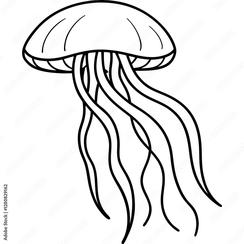 Jellyfish Line Art Vector Jellyfish Line Art Vector