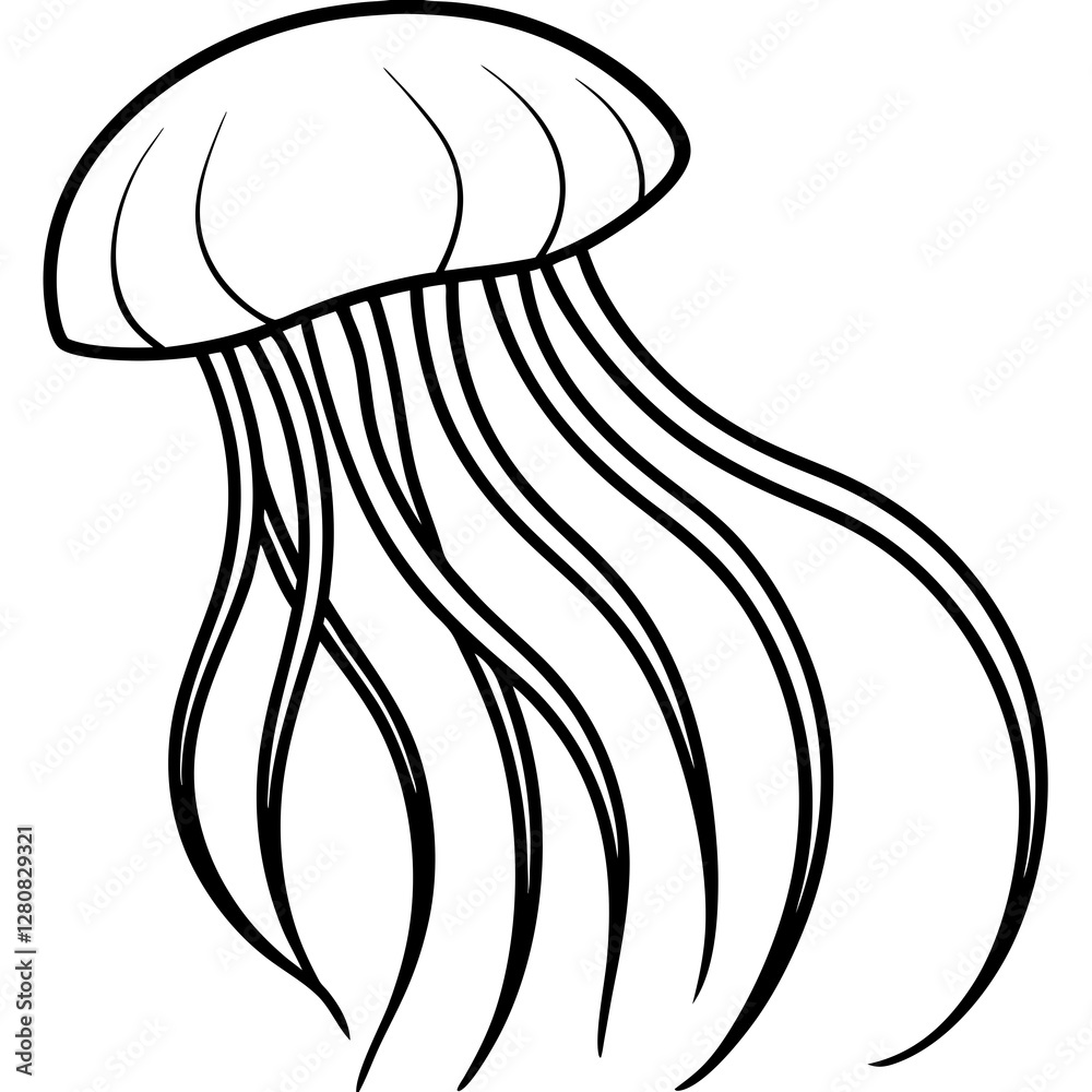 Jellyfish Line Art Vector Jellyfish Line Art Vector