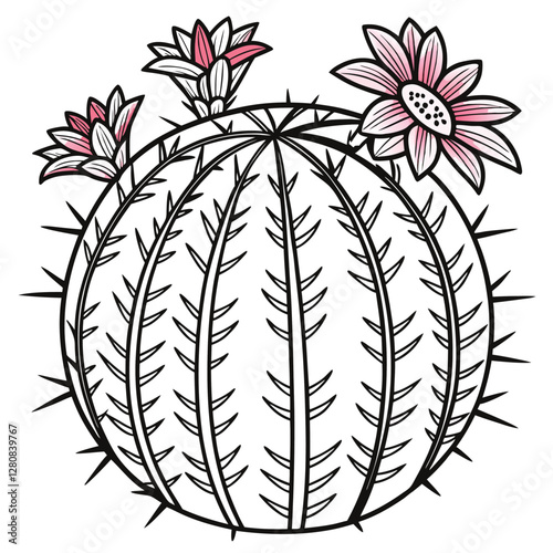 Barrel Cactus Illustration with Pink Flowers and Spines