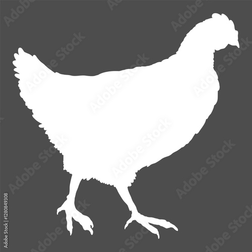 Vector Silhouette of Hen. Poultry Illustration