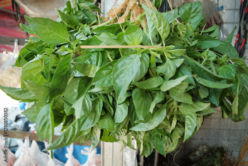 Fresh green basil leaves (daun kemangi) with a vibrant color and aromatic scent, commonly used as a raw side dish (lalap) in vegetarian meals