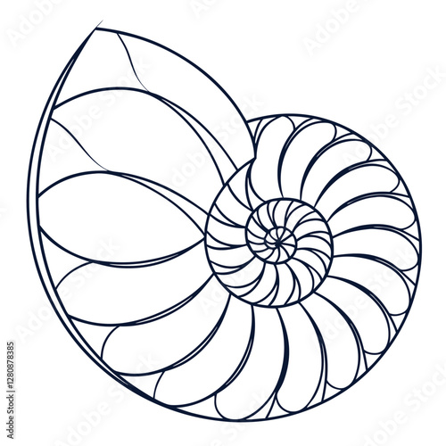 Nautilus Shell Illustration: Golden Ratio, Fibonacci Sequence, Spiral Pattern, Geometric Design, Marine Life Art, Nature Inspired Drawing
