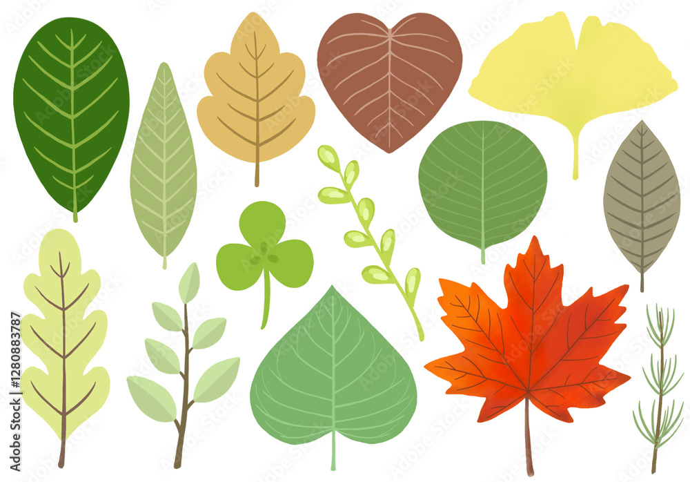 Obraz premium Leaves clipart images. Leaves in various shapes dan colors