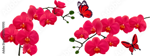 red orchid flowers  and red butterfly on a transparen background