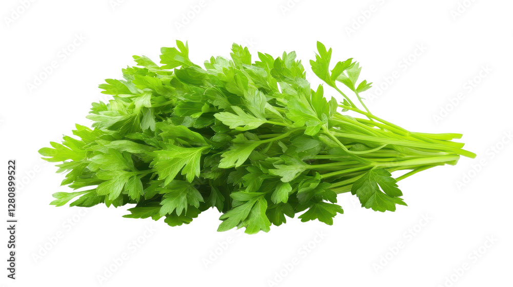 Fresh green herbs, vibrant leafy greens on white background, perfect for culinary use or healthy eating themes, ample space for text. Isolated on white background or PNG Fresh green herbs, vibrant leafy greens on white background, perfect for culinary use or healthy eating themes, ample space for text. Isolated on white background or PNG