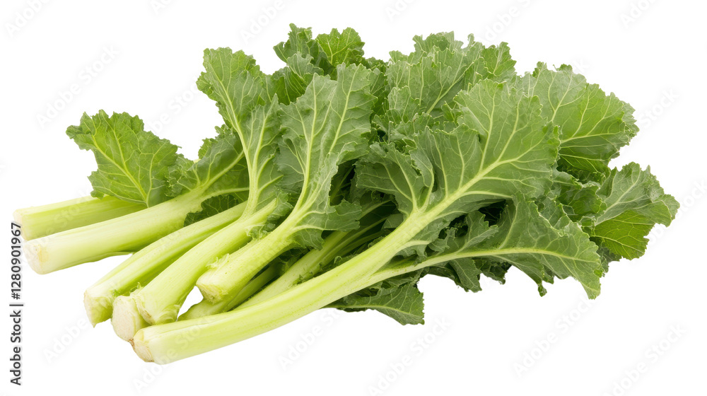 Fresh green leafy vegetables, vibrant romaine lettuce with crisp texture, ideal for salads and healthy dishes, copy-space available Isolated on white background or PNG Fresh green leafy vegetables, vibrant romaine lettuce with crisp texture, ideal for salads and healthy dishes, copy-space available Isolated on white background or PNG
