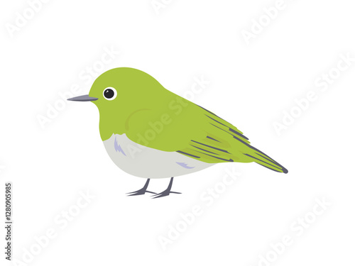 春の黄緑色の鳥、めじろ