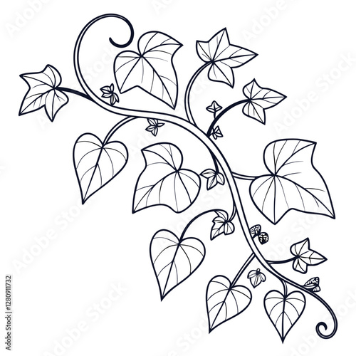 Ivy Vine Illustration: Black and White Line Art of Climbing Plant with Heart-Shaped Leaves for Botanical Designs and Crafts