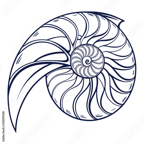 Nautilus Shell Vector Illustration: Detailed Line Art of Golden Ratio Spiral, Sea Life Graphic, Nature Inspired Design, Printable Art