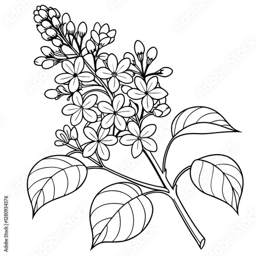 Lilac Flower Branch Coloring Page: Detailed Line Art of Blooming Lilacs with Leaves, Floral Outline Illustration for Creative Coloring Fun