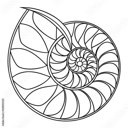 Nautilus Shell Illustration: Golden Ratio Spiral, Black and White Line Art, Fibonacci Sequence, Nature-Inspired Design, Mathematical Art Print