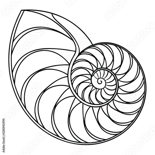 Nautilus Shell Section Line Art: Golden Ratio Spiral Illustration, Fibonacci Sequence, Seashell Geometry, Black and White Vector Graphic