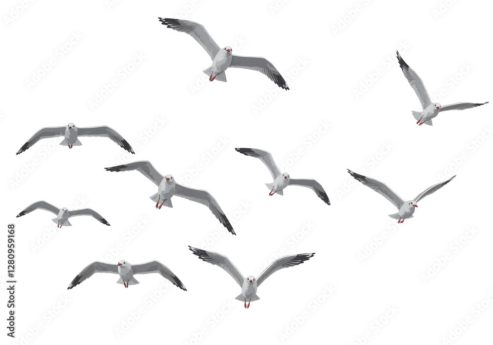 Isolated Group of Seagulls Flying Against White Isolated Group of Seagulls Flying Against White