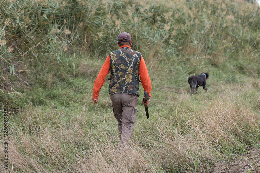 Mature hunter man holding a shotgun and walking through a field Mature hunter man holding a shotgun and walking through a field