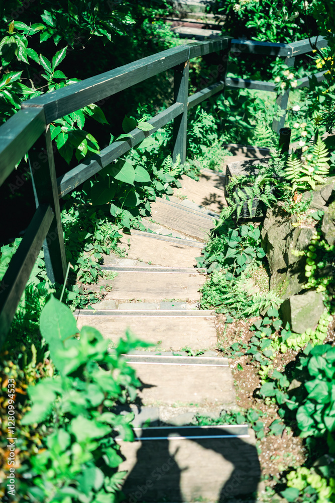 Fototapeta premium 熱海の美しい庭園と海の風景