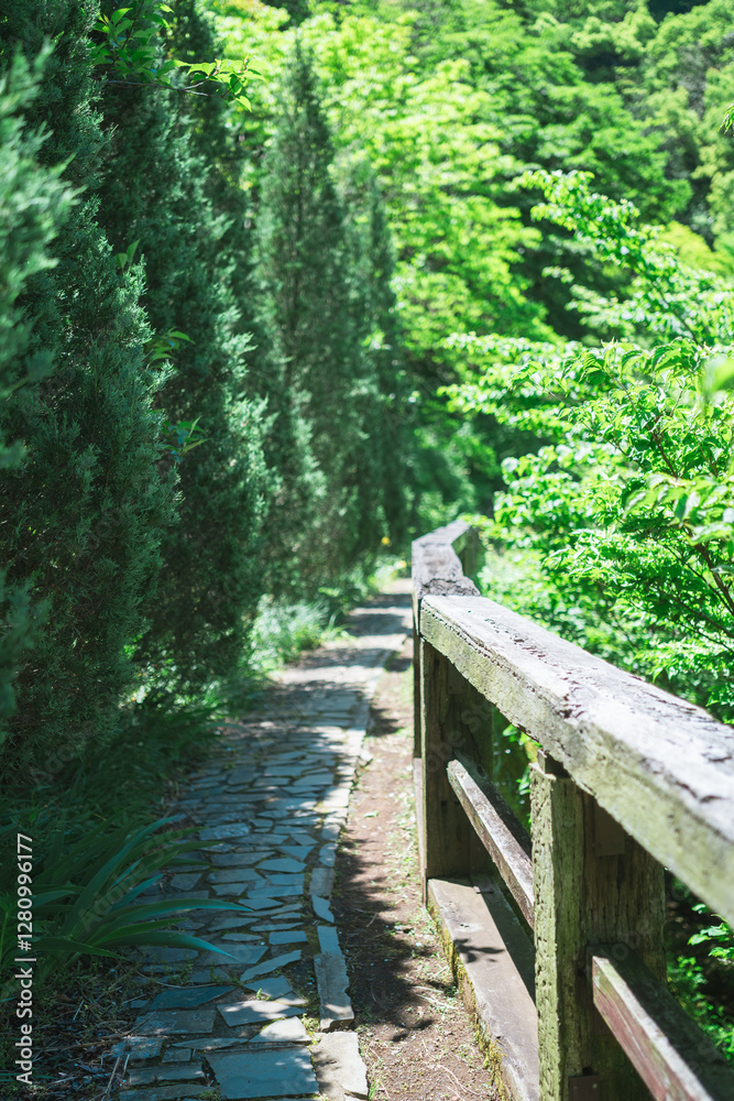 Fototapeta premium 熱海の美しい庭園と海の風景