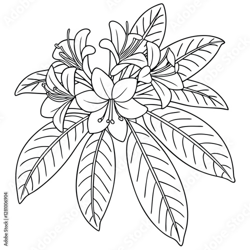 Rhododendron Flower Line Art: Detailed Botanical Illustration for Coloring Pages & Floral Design Projects, Black and White Outline Drawing