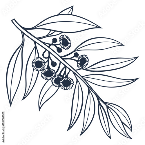 Eucalyptus Branch Line Art: Botanical Illustration of Gum Leaves & Gumnuts, Minimalist Floral Drawing, Australian Native Plant Artwork