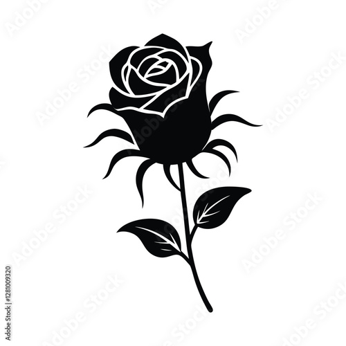rose on white background
