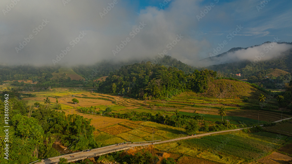Fototapeta An aerial view of terraced rice fields in a charming valley of golden rice fields and lush forests covered in morning mist, creating a peaceful and atmospheric rural atmosphere. beautiful nature