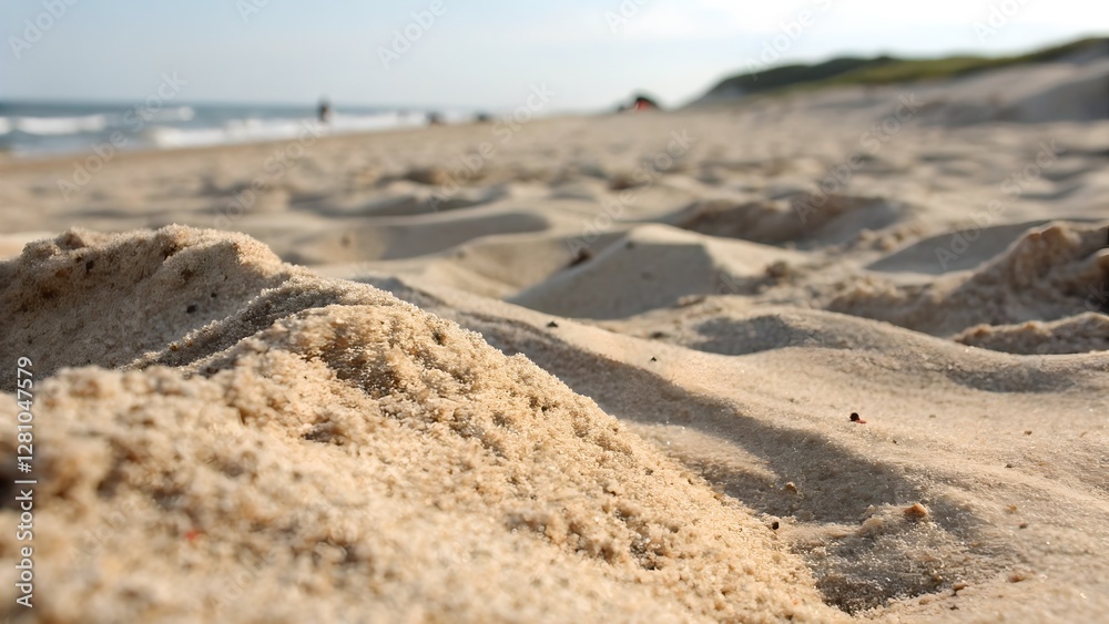 Beach Sand Dune Closeup Sunny Day