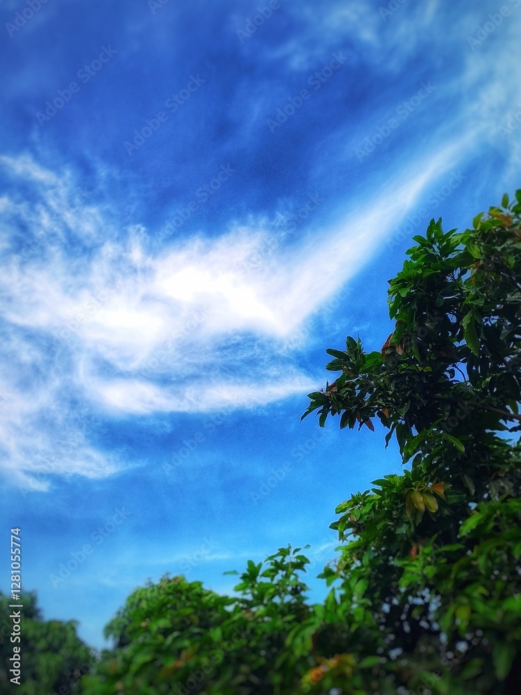 Obraz premium sky and clouds