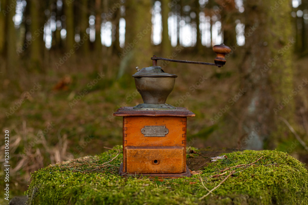 An antique coffee grinder rests on a mossy stump, nestled among trees, capturing a blend of history and the natural beauty of a lush forest environment. An antique coffee grinder rests on a mossy stump, nestled among trees, capturing a blend of history and the natural beauty of a lush forest environment.