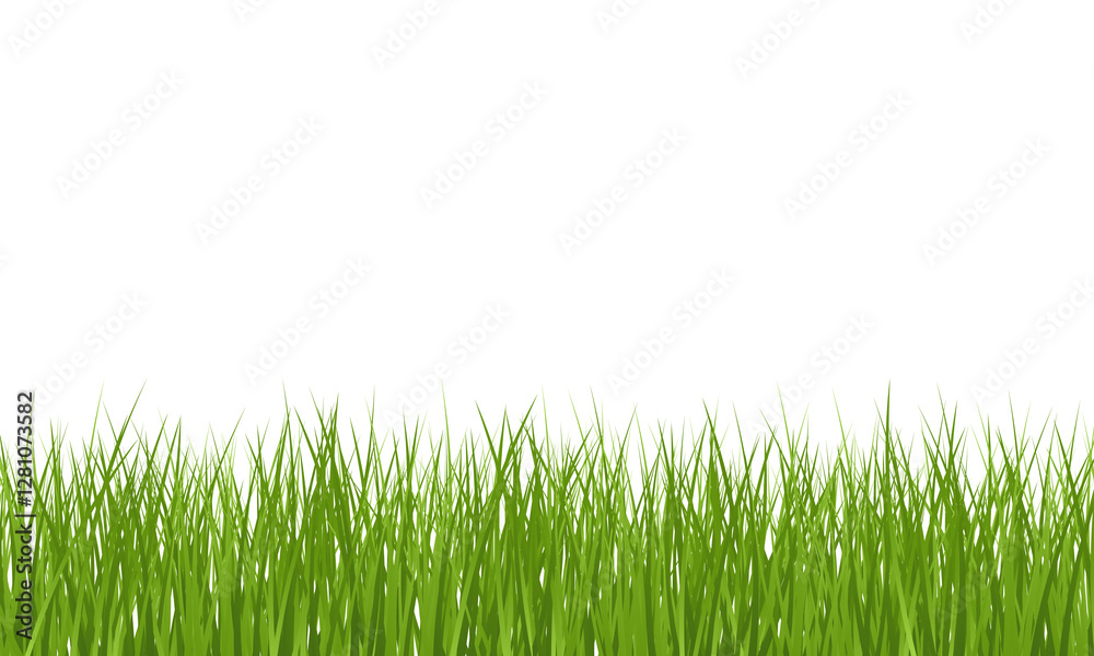 Naklejka premium Green Grass border isolated on transparent background, vector illustration. Realistic green seamless grass. Grass png, lawn png.