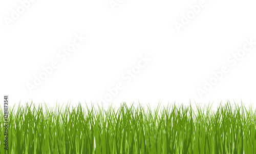 Green Grass border isolated on transparent background, vector illustration. Realistic green seamless grass. Grass png, lawn png.