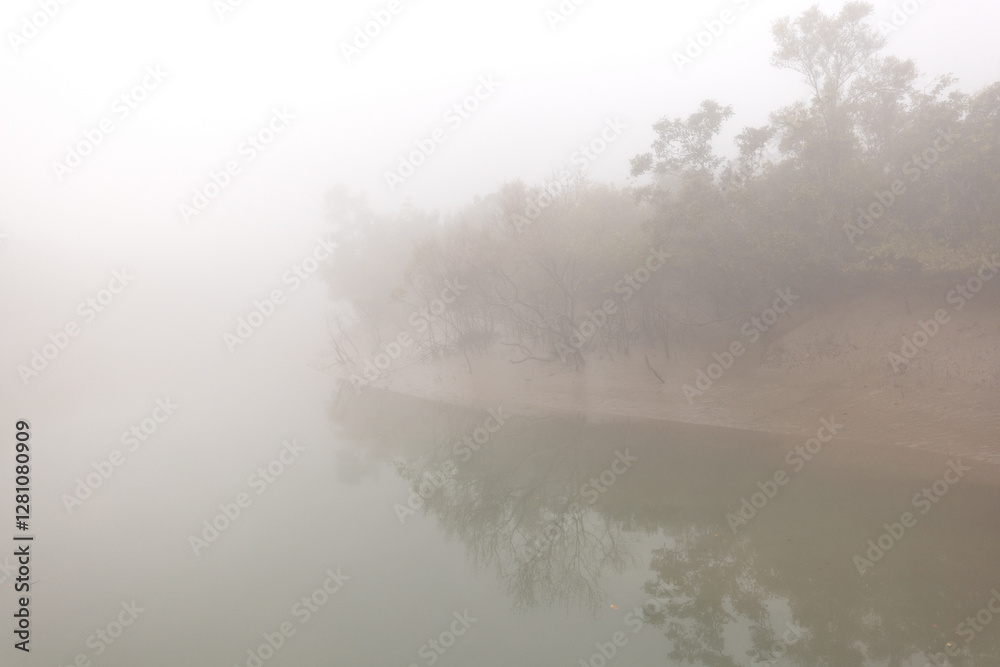 Fototapeta premium River channel and mangrove forest of Sundarban tiger reserve in a foggy morning, India