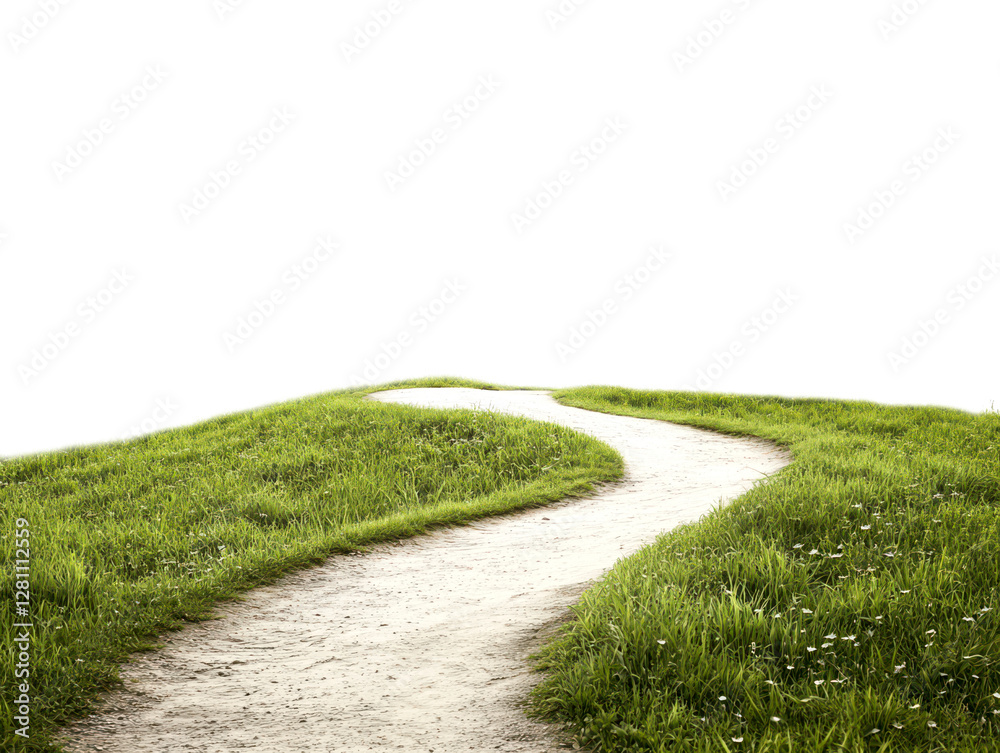 Winding Pathway Through Lush Green Grass Landscape in Nature Scene