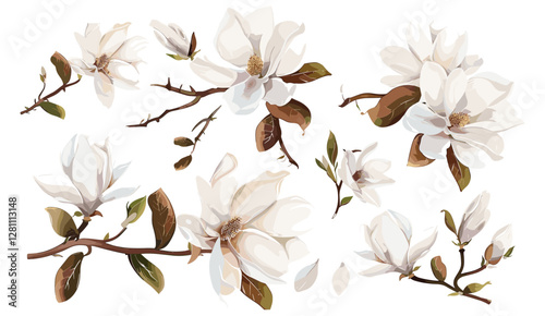 Vector magnolia flowers, cream white bouquet, leaves branch, editable elements set, watercolor style, hand-drawn spring illustration, wedding invite, Mother's Day, 8 March greeting card