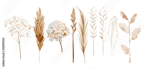 Vector dried flowers, leaves, beige hydrangea, cream pampas grass, dry palm, lagurus, lunaria branches, watercolor style, wedding invite, floral bouquet, botanical elements, nature illustration
